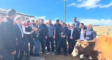 Bakan Yardımcısı Gümen, Göle’de Şap Hastalığı İncelemelerinde Bulundu