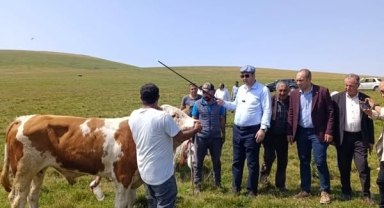 CHP Heyeti Posof’ta Şap Hastalığı İçin Sahada İncelemelerde Bulundu