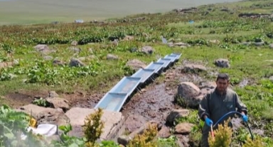 Hanak’ta Şap Hastalığına Karşı Yoğun Mücadele