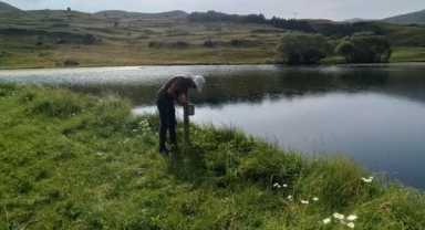 Posof’ta Kırmızı Benekli Alabalık Kaçak Avcılığına Karşı Sıkı Önlem