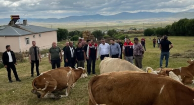 Şap Hastalığı İçin Bakanlık Heyeti Ardahan’da