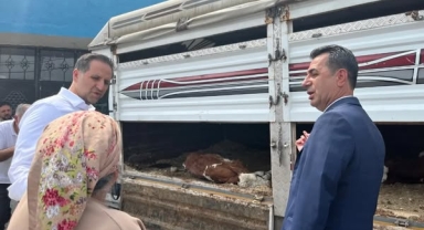 Vekil İncesu Ardahan'da Şap Hastalığı İçin Sahada