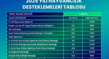 2025 Yılı Hayvancılık Desteklemeleri Açıklandı
