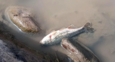 Ilgar Dağı Tüneli İnşaatı Köylerde Çevre ve Sağlık Riskleri Yaratıyor