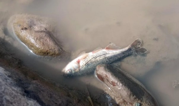 Ilgar Dağı Tüneli İnşaatı Köylerde Çevre ve Sağlık Riskleri Yaratıyor