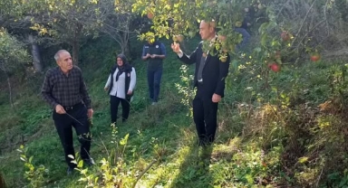 Kaymakam Kestioğlu’ndan “İçi Dışı Kırmızı Elma” Üreticisine Ziyaret
