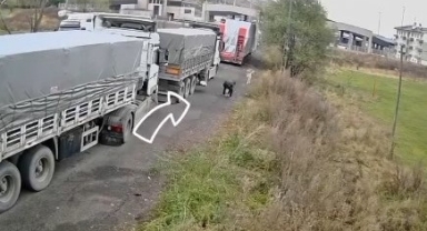 Posof’ta Çevre Denetimleri Sıkılaştırıldı: Tır Şoförlerine Para Cezası