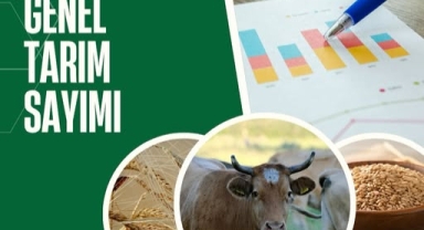 Ardahan’da Genel Tarım Sayımı Sürüyor