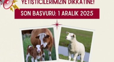 Hayvancılık Desteklerinde Son Başvuru 1 Aralık 2025!