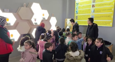 Yeşil Vatan Projesiyle Öğrenciler Arıları ve Doğayı Tanıyor