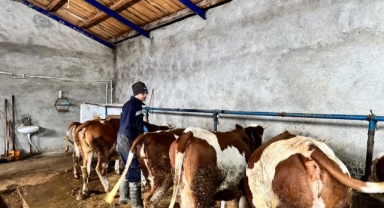 Ardahan’da Hayvan Hastalıklarıyla Mücadele Seferberliği