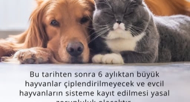 Evcil Hayvan Sahiplerine Önemli Uyarı: Son Gün 31 Aralık!