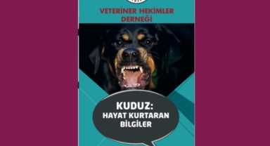 Kuduzda İhmal Öldürür, Erken Müdahale Yaşatır