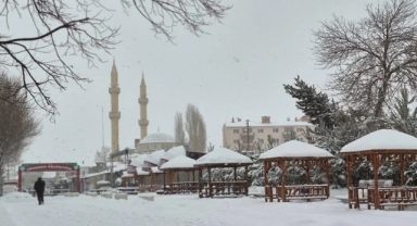 Ardahan'da Kar Esareti