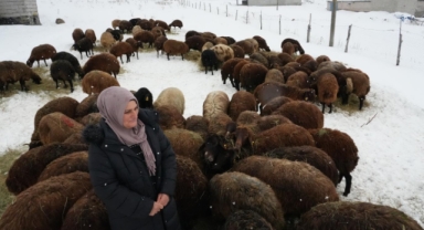 Devlet Desteği Meyvelerini Veriyor