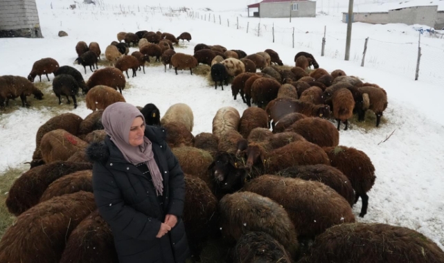 Devlet Desteği Meyvelerini Veriyor