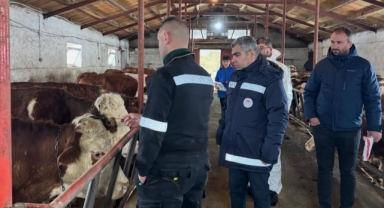 İl Müdürü Harun Akıllı Altaş Köyü'nde Damızlık Sığır İşletmesini İnceledi
