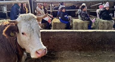 Çocuklar Tarımla Erken Tanışıyor