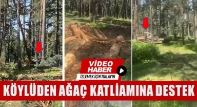 Göle'de Ağaç Katliamına Köylülerden Destek!