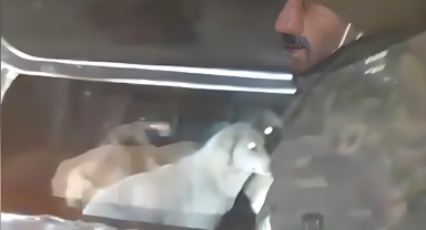 Jandarma Tespit Etti, Belediye Harekete Geçti!